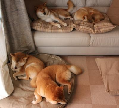 2024年混合团体世界杯:Chinese Taipei团队赛场风采,2024年足球世界杯