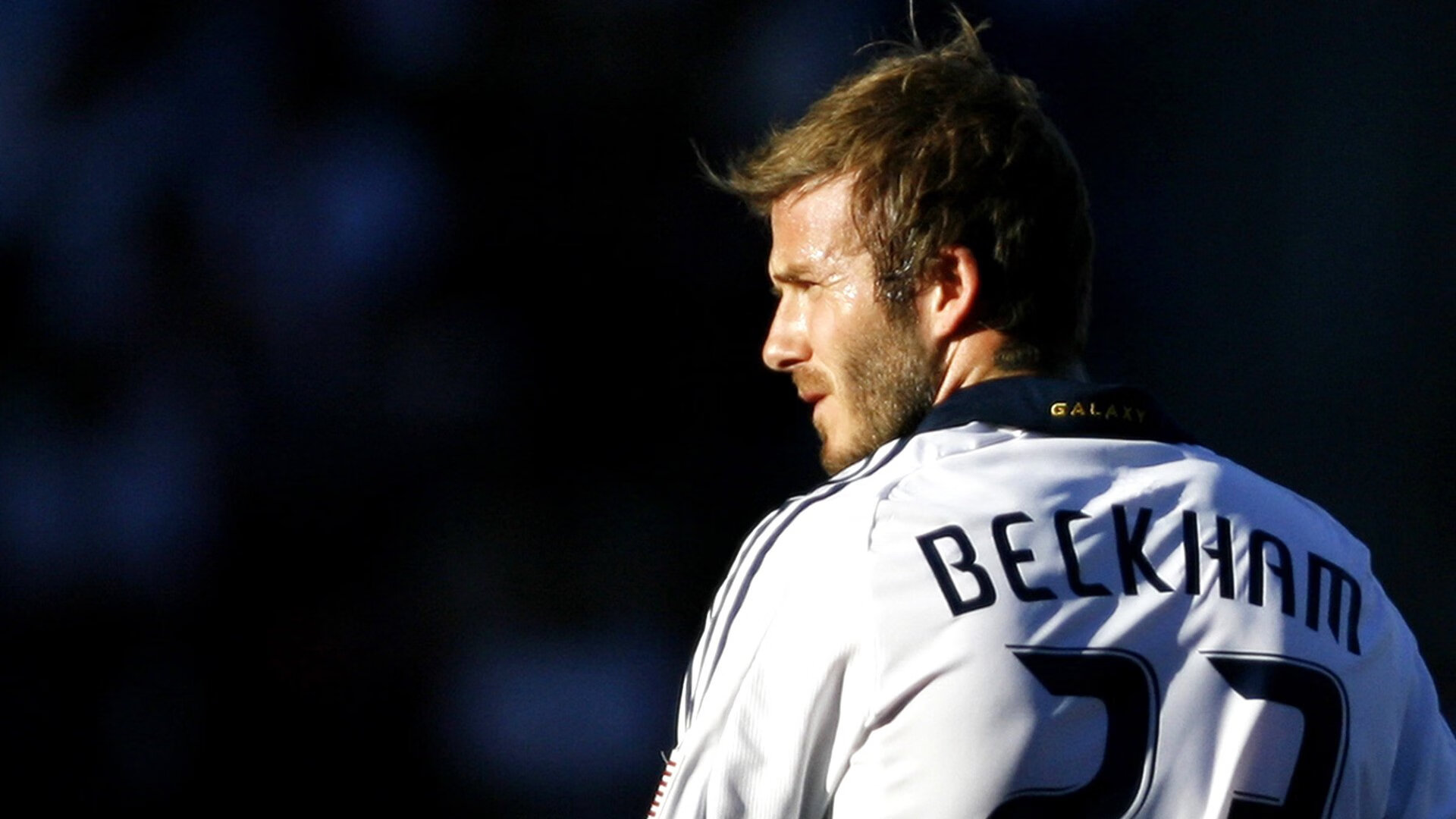 体育新闻中心赛季回顾关注,体育新闻赛事